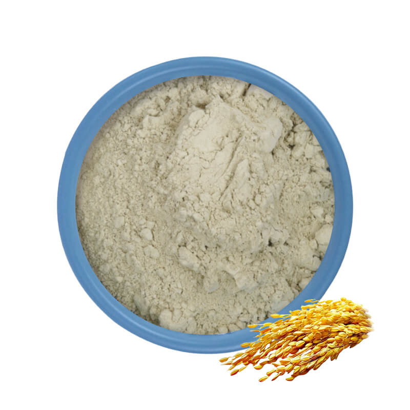 Polvo de proteína de arroz orgánico
