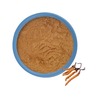 Extracto de Cordyceps Vs Polvo