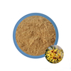 Extracto de hamamelis para pilas