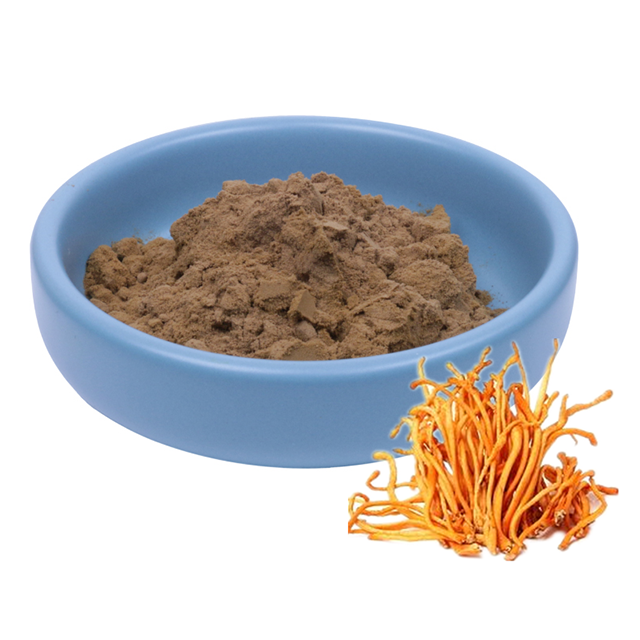 Extracto de cordyceps militaris
