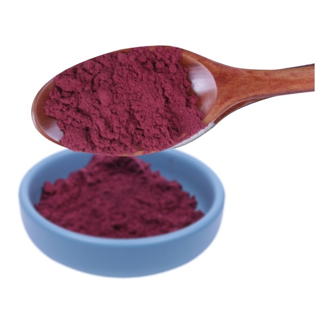 Polvo de raíz de remolacha roja