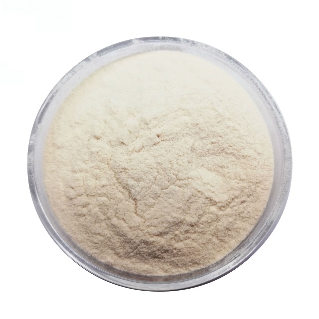 Extracto de soja con fosfatidilserina