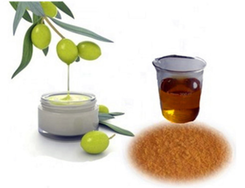 Comprar Extracto de Fruto de Olivo 20% Hidroxitirosol