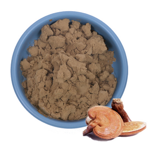 Extracto de ganoderma lúcido Extracto de hongo reishi 35%